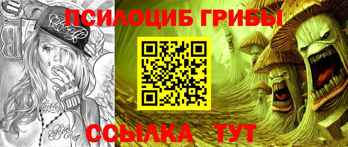 Псилоцибиновые грибы Psilocybine cubensis Ростов-на-Дону